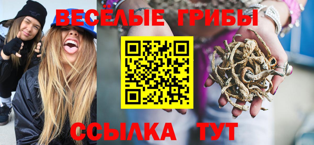 Галлюциногенные грибы GOLDEN TEACHER Хасавюрт