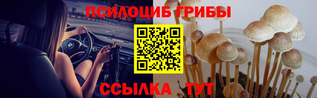 Хасавюрт  Галлюциногенные грибы мухоморы  Вход с VPN 